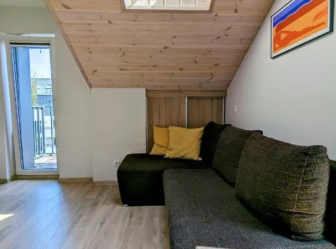 Studija1g24 * Palanga